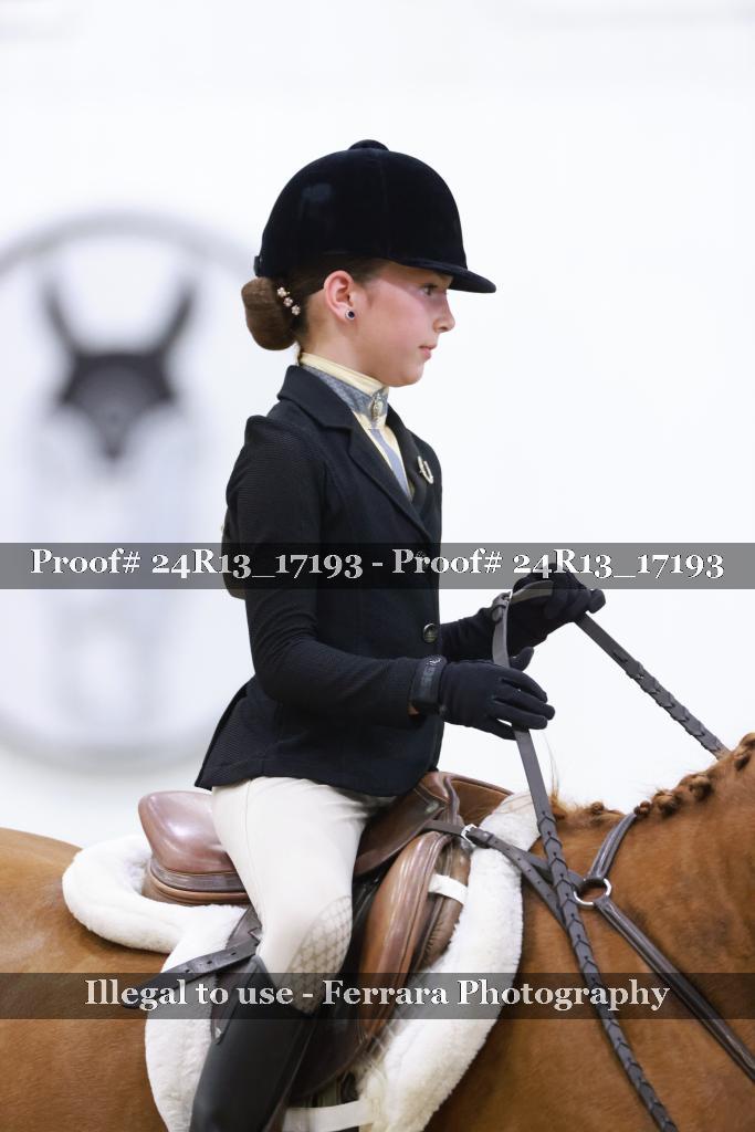 Proof 24R13_17193