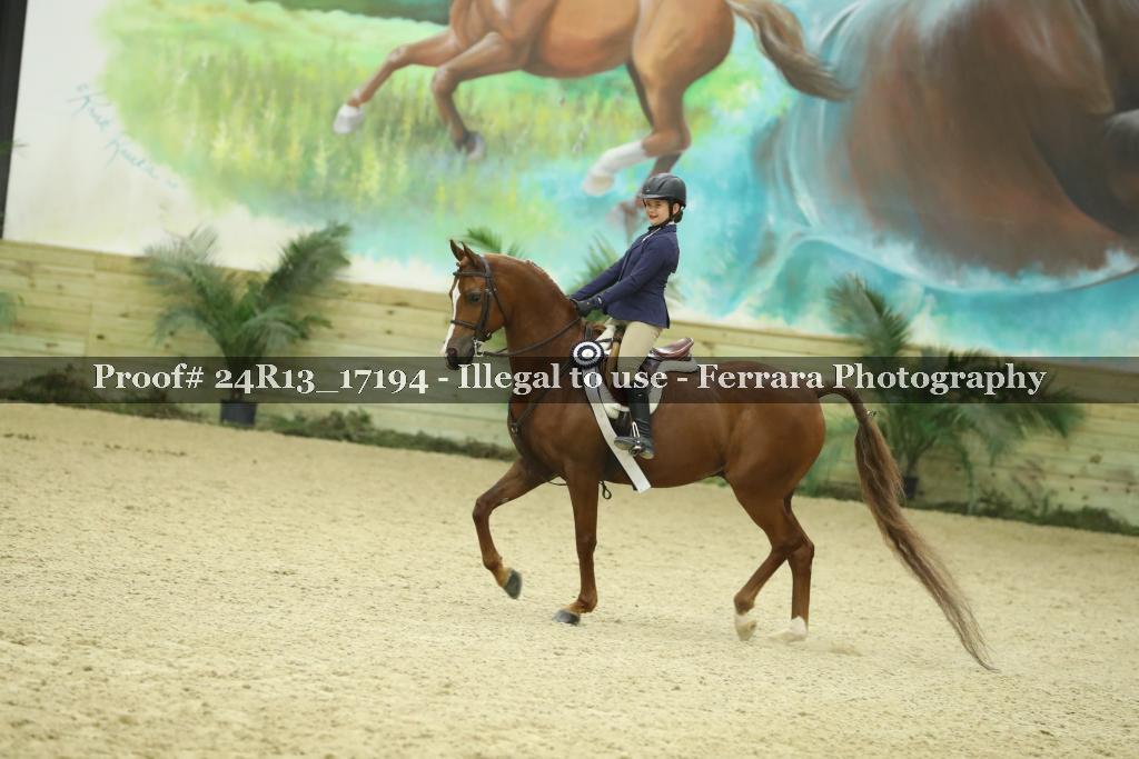 Proof 24R13_17194