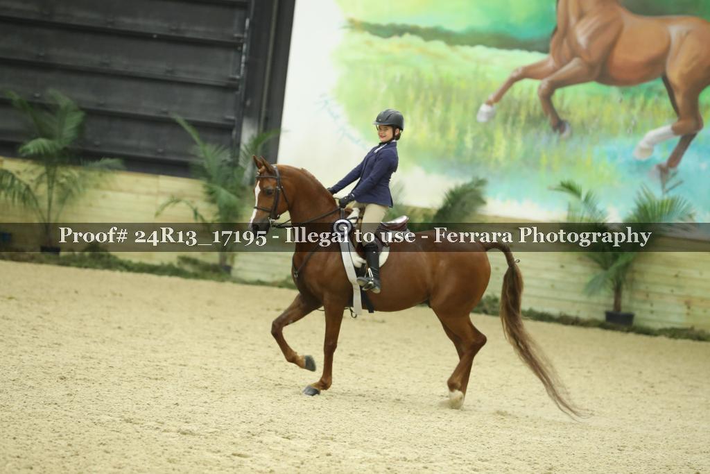 Proof 24R13_17195