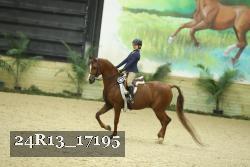 24R13_17195 proof