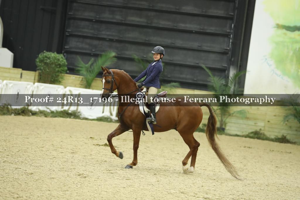Proof 24R13_17196
