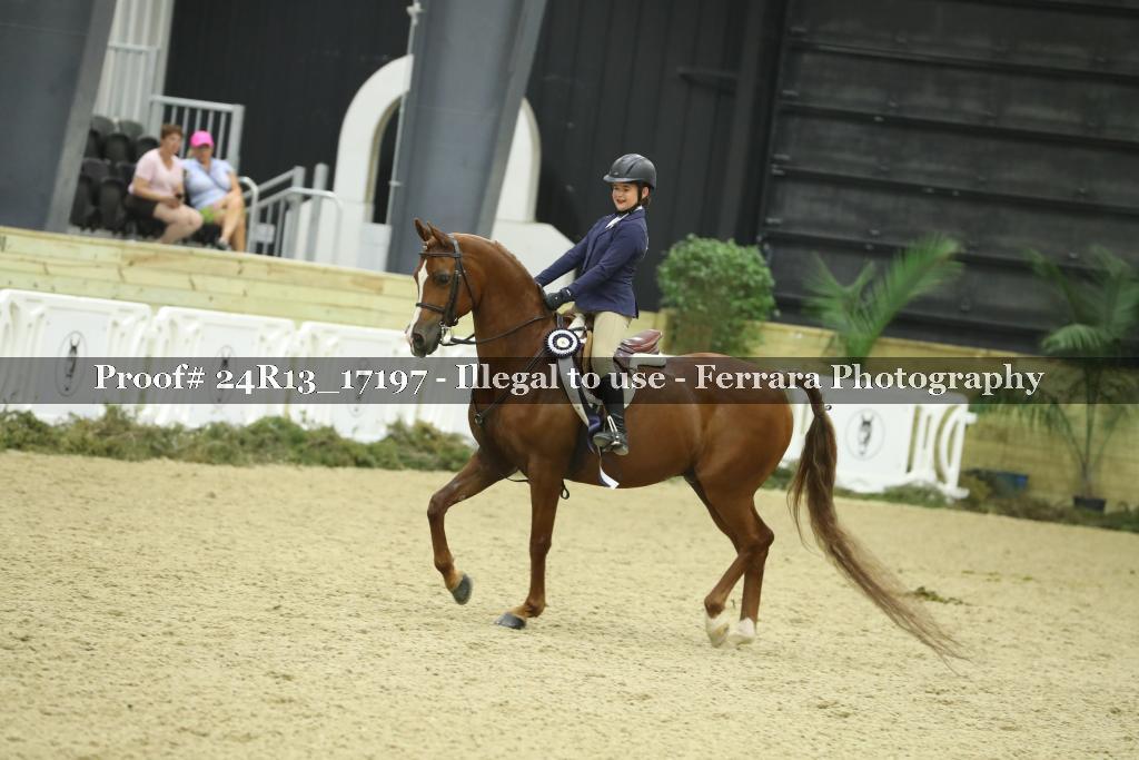 Proof 24R13_17197