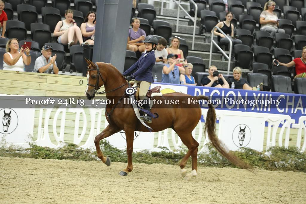 Proof 24R13_17201