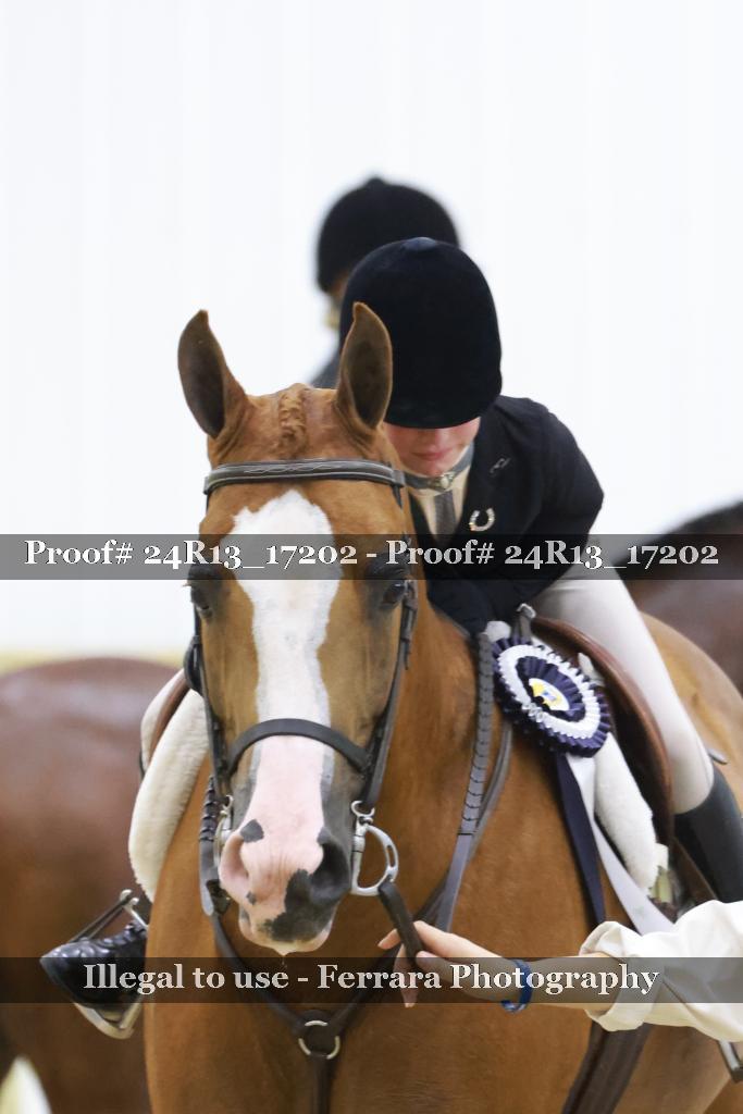 Proof 24R13_17202