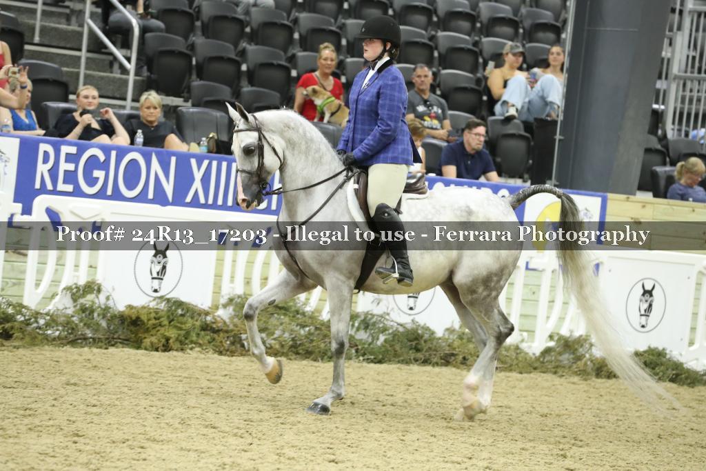 Proof 24R13_17203