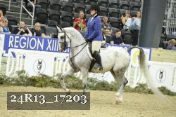 24R13_17203 proof