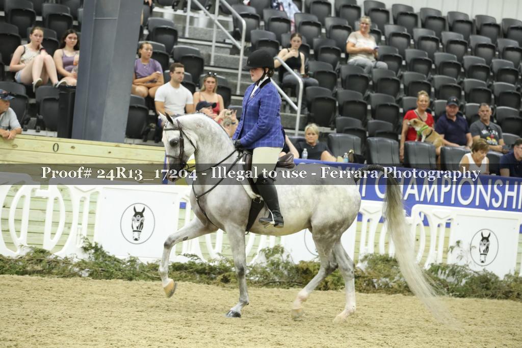 Proof 24R13_17204