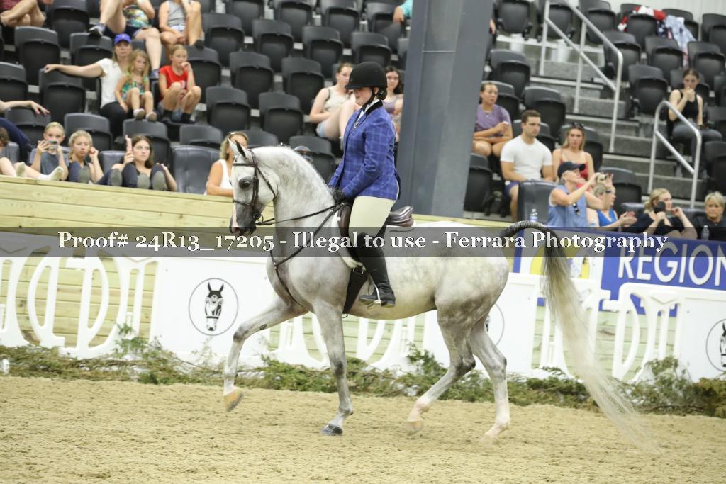 Proof 24R13_17205