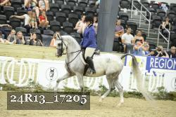 24R13_17205 proof
