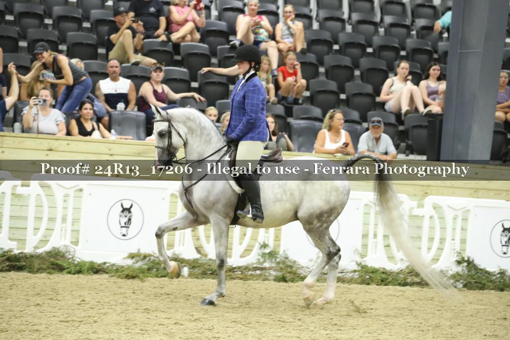 Proof 24R13_17206