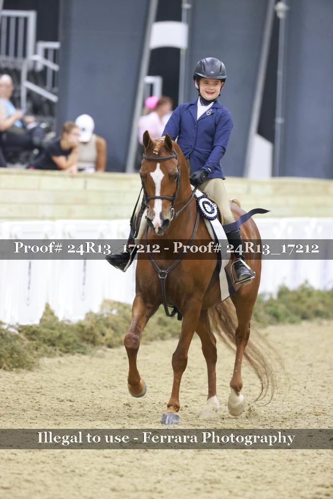 Proof 24R13_17212