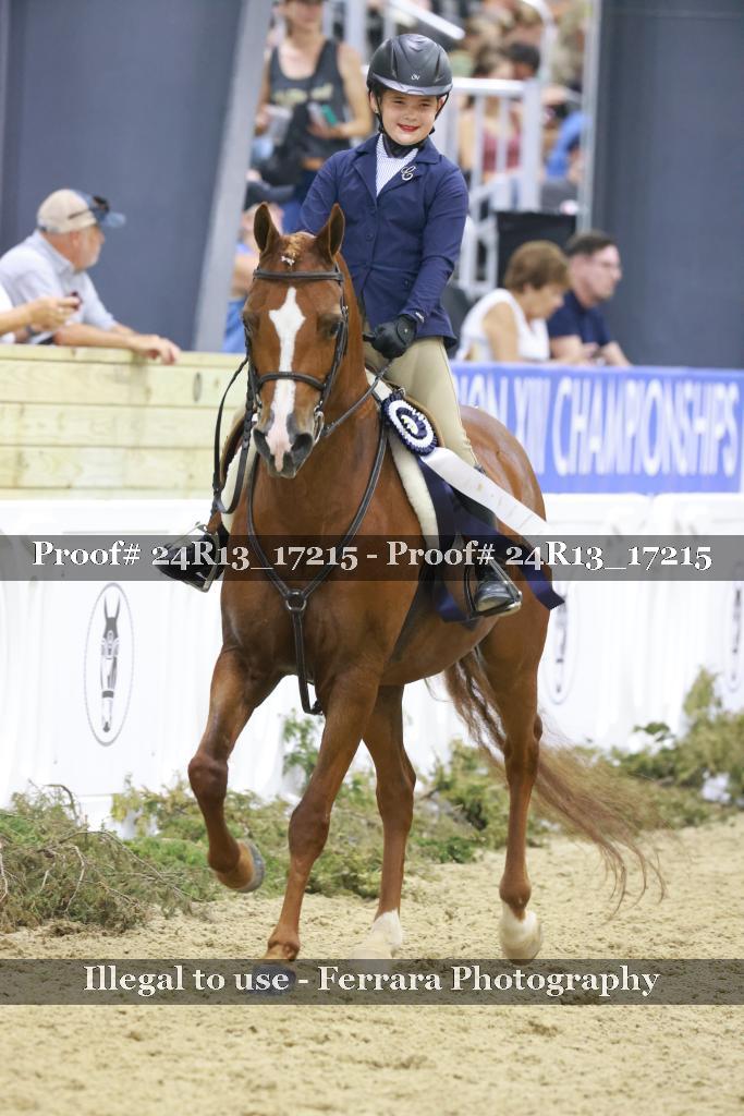 Proof 24R13_17215