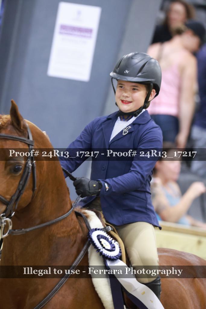 Proof 24R13_17217