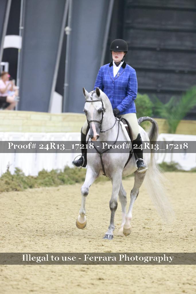 Proof 24R13_17218