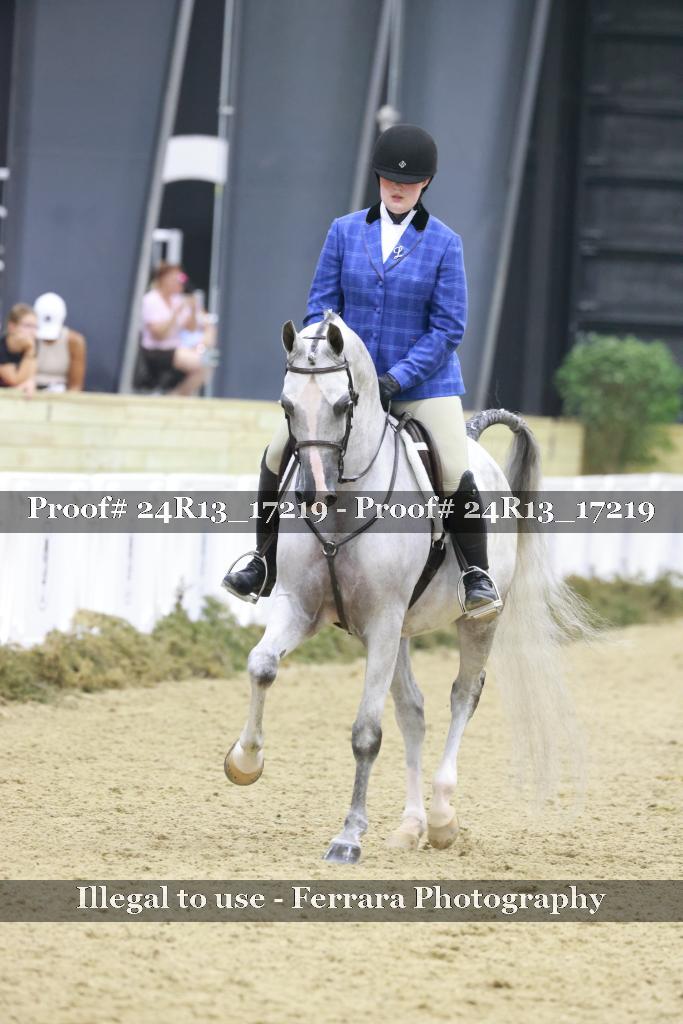 Proof 24R13_17219