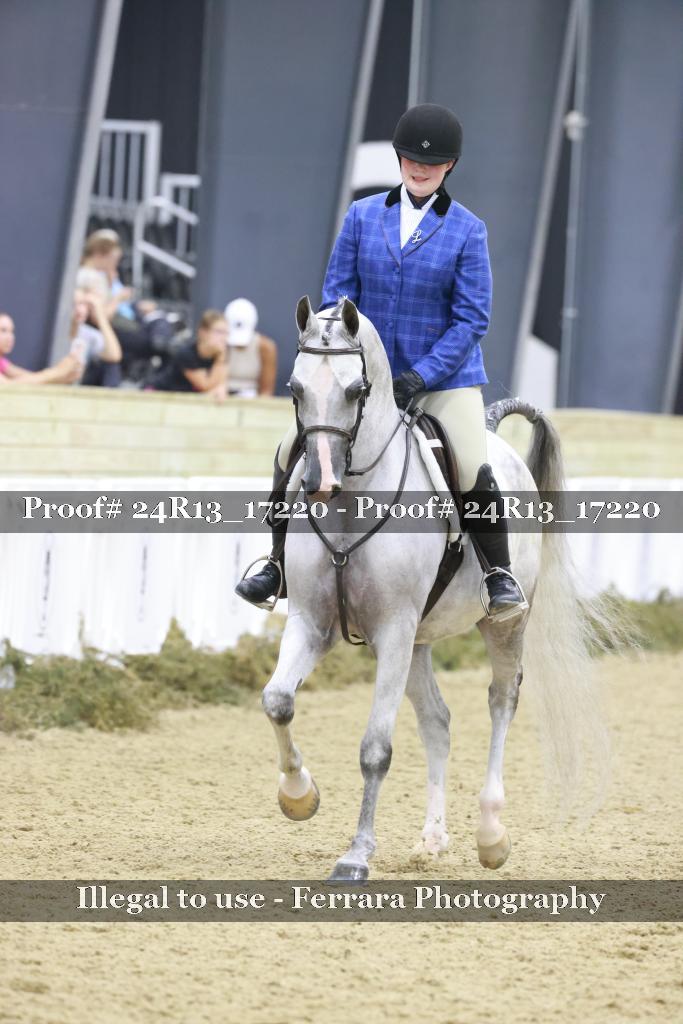 Proof 24R13_17220