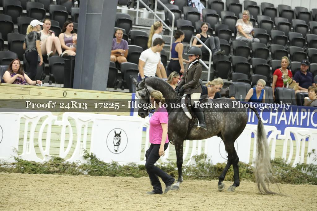 Proof 24R13_17225