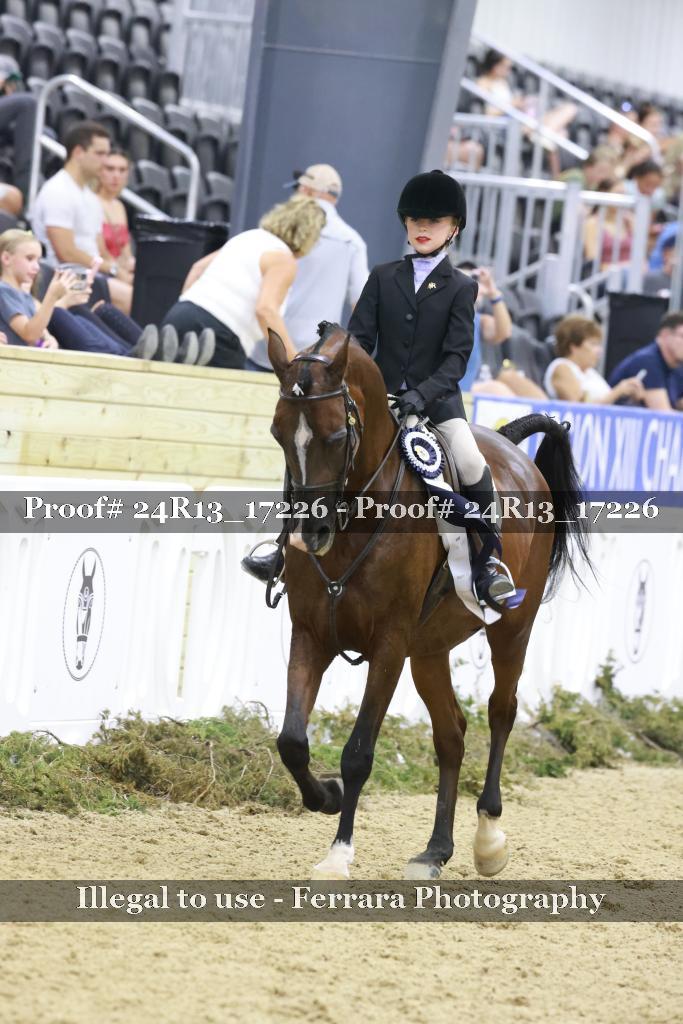 Proof 24R13_17226