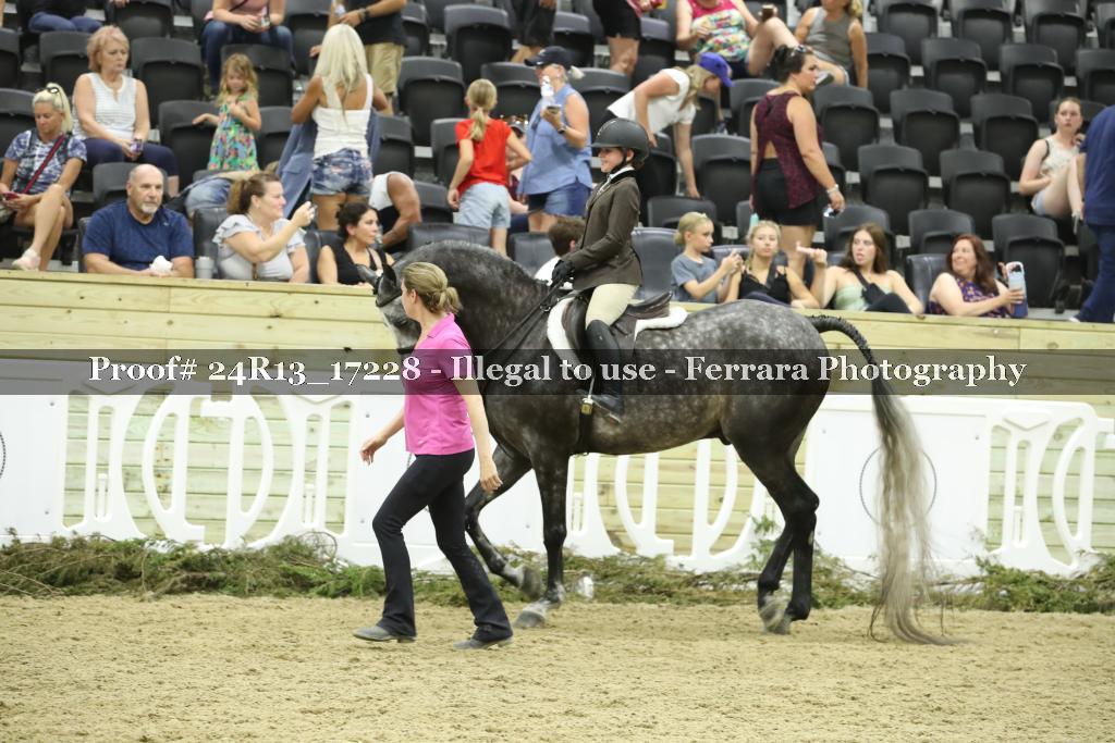 Proof 24R13_17228