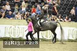 24R13_17228 proof