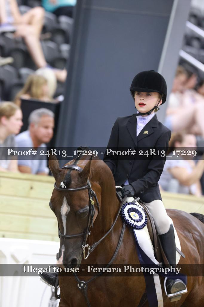 Proof 24R13_17229