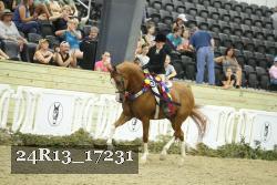 24R13_17231 proof