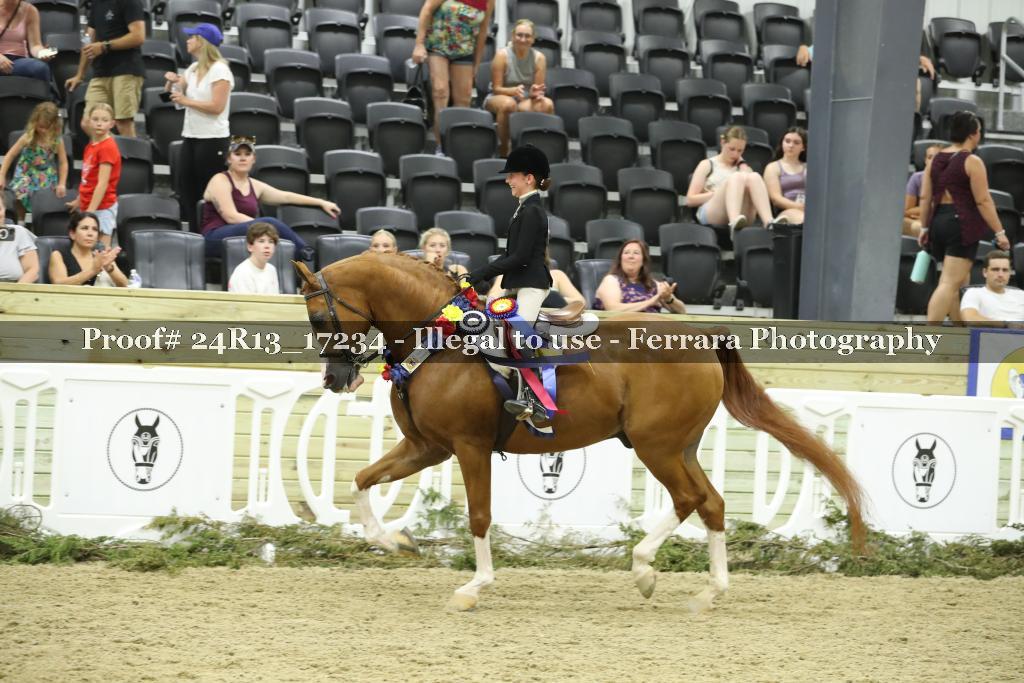 Proof 24R13_17234
