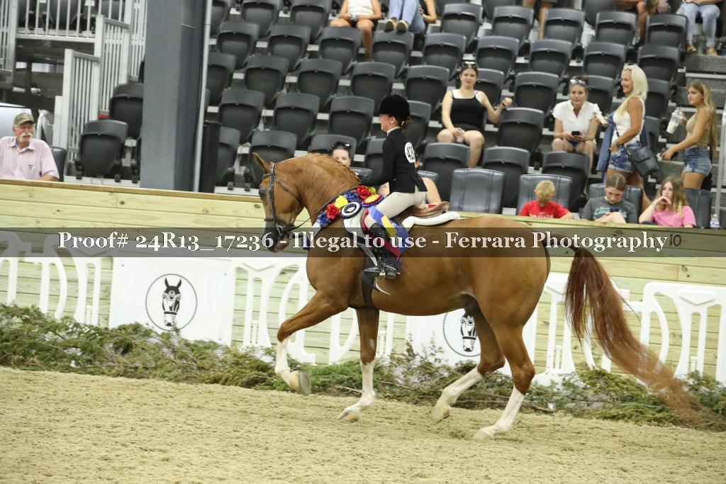 Proof 24R13_17236