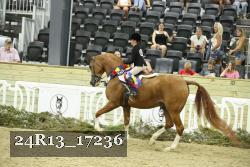 24R13_17236 proof
