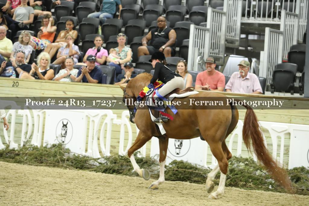 Proof 24R13_17237