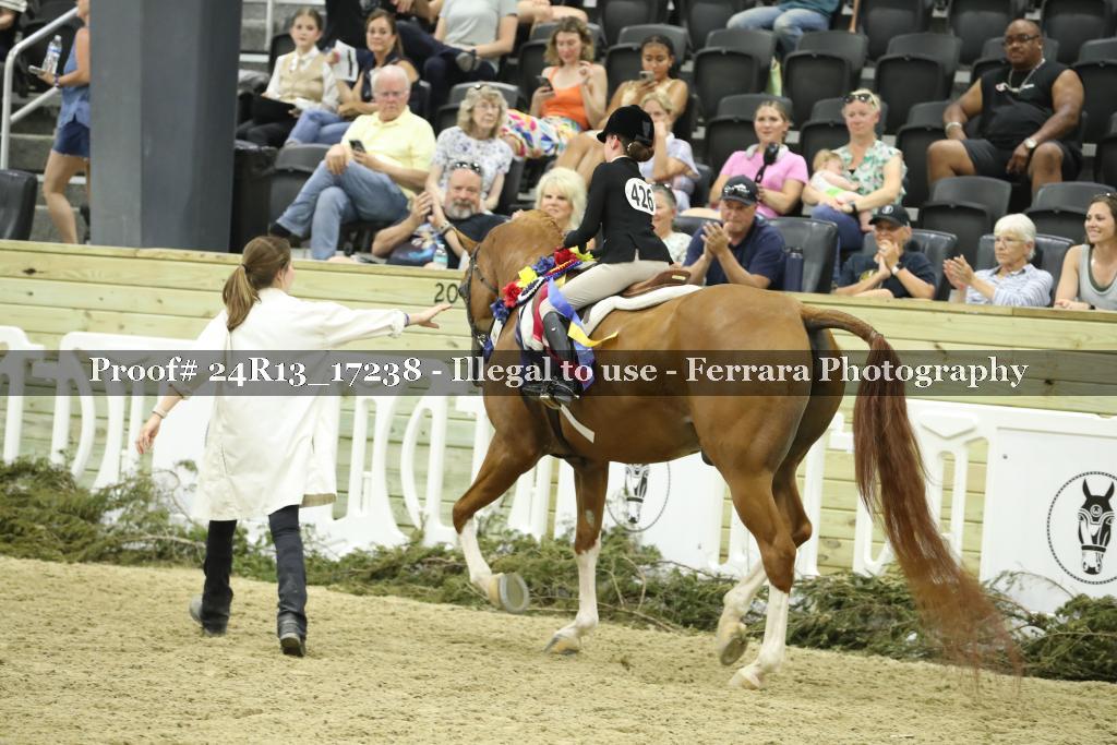 Proof 24R13_17238