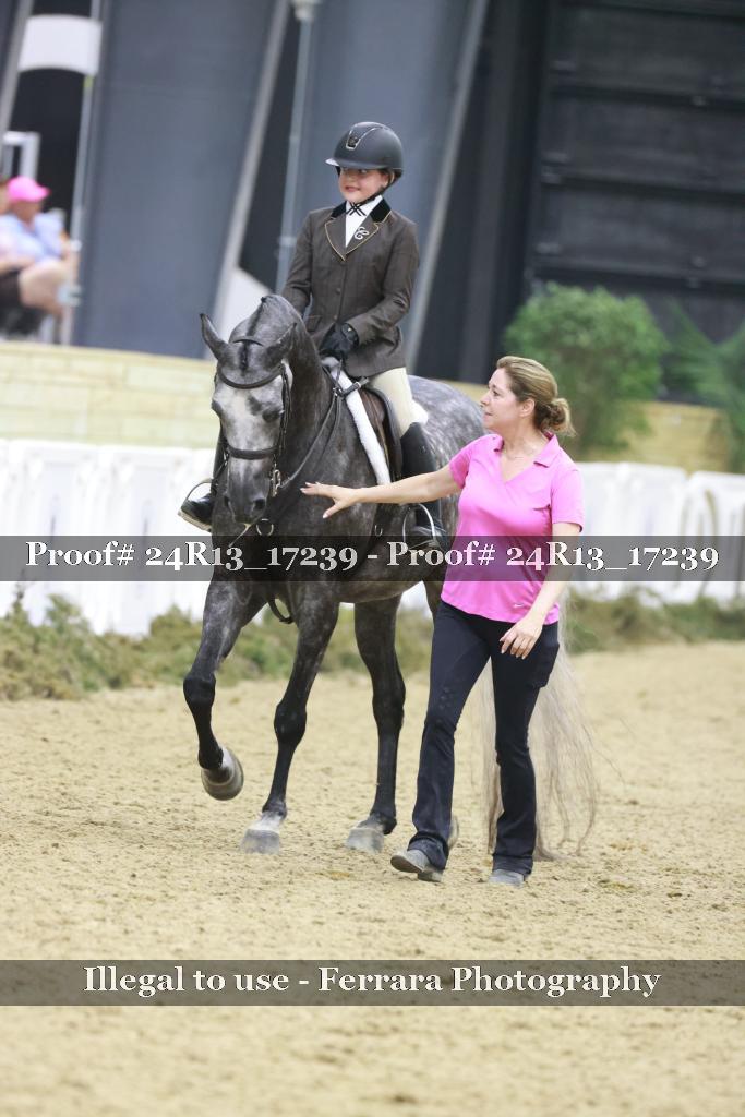 Proof 24R13_17239