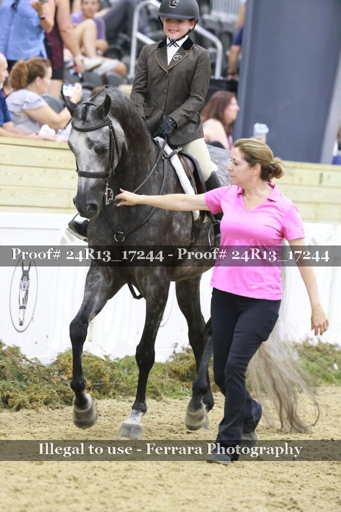 Proof 24R13_17244