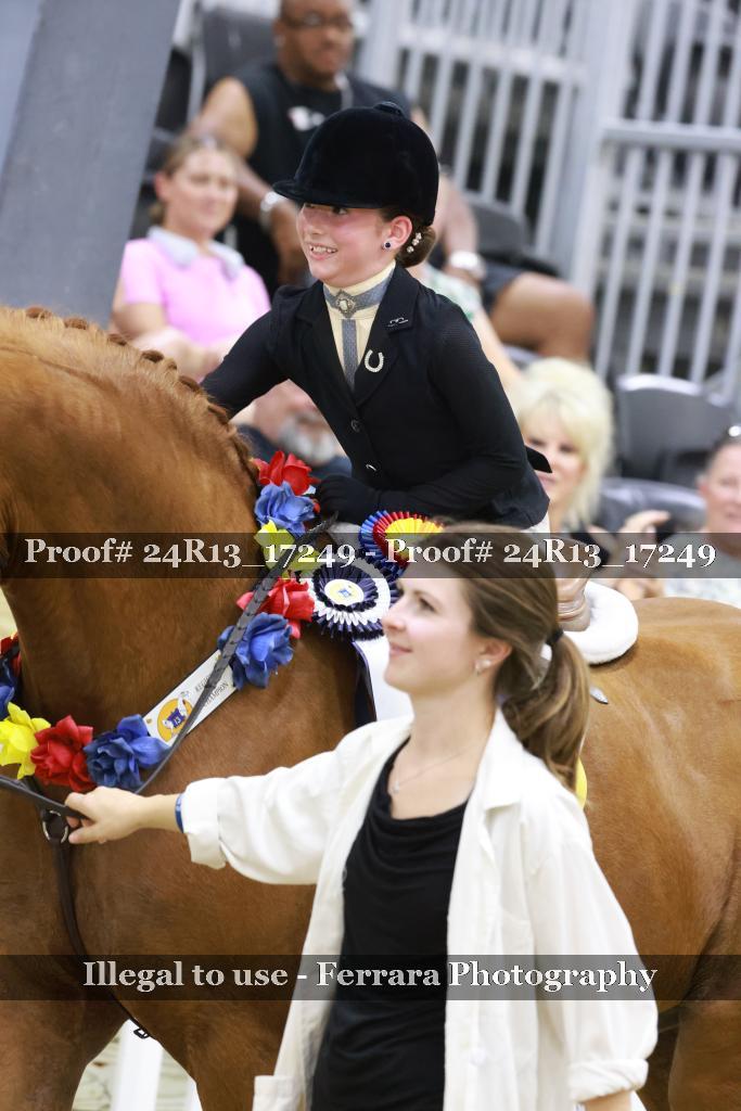 Proof 24R13_17249