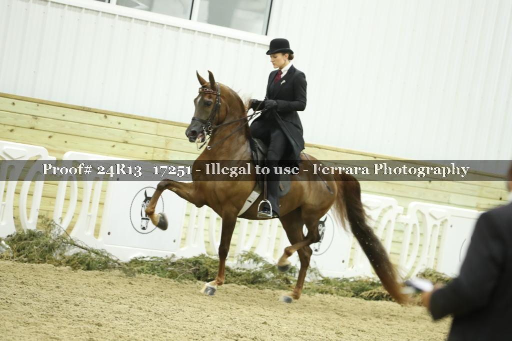 Proof 24R13_17251