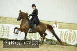 24R13_17253 proof