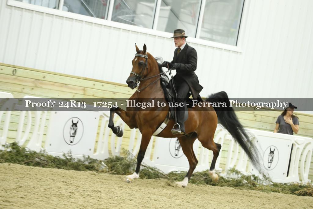 Proof 24R13_17254