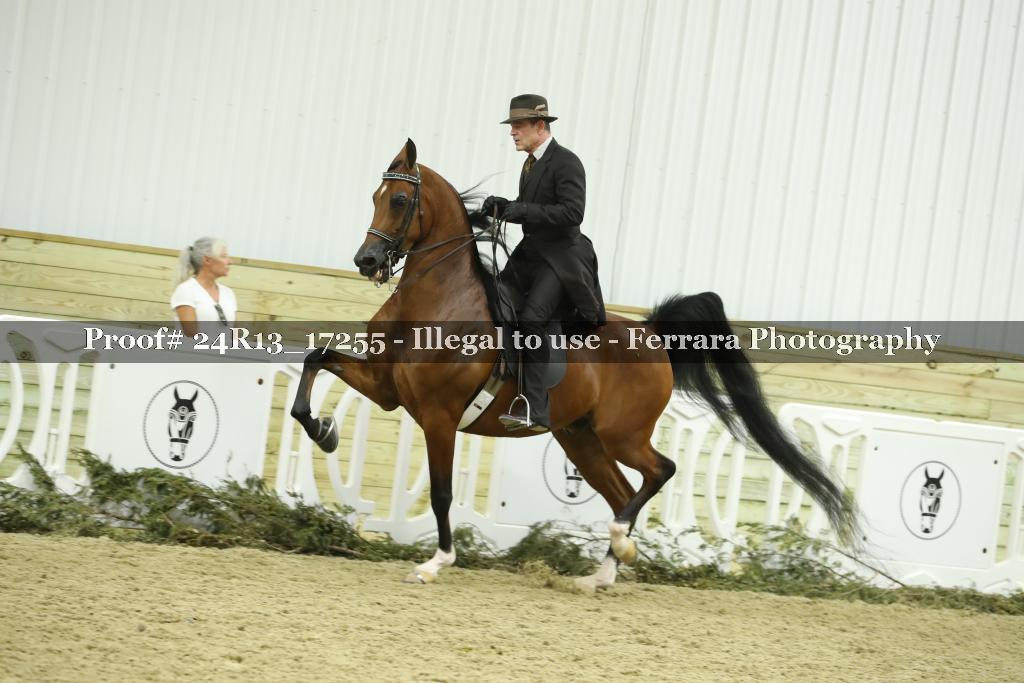 Proof 24R13_17255