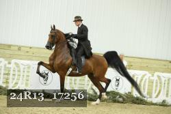 24R13_17256 proof