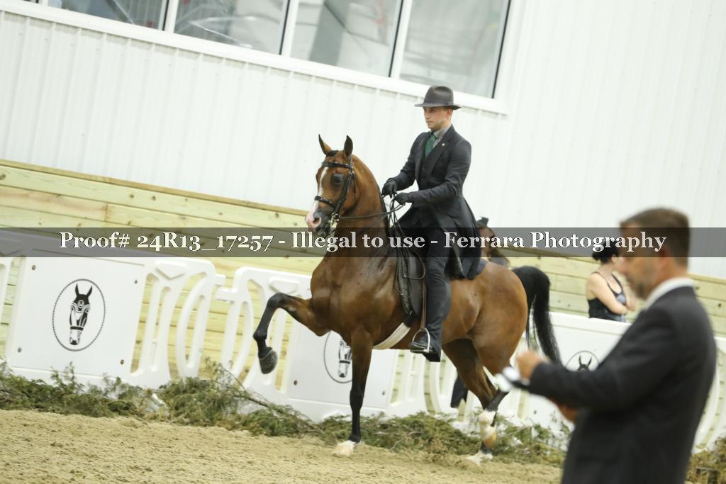 Proof 24R13_17257