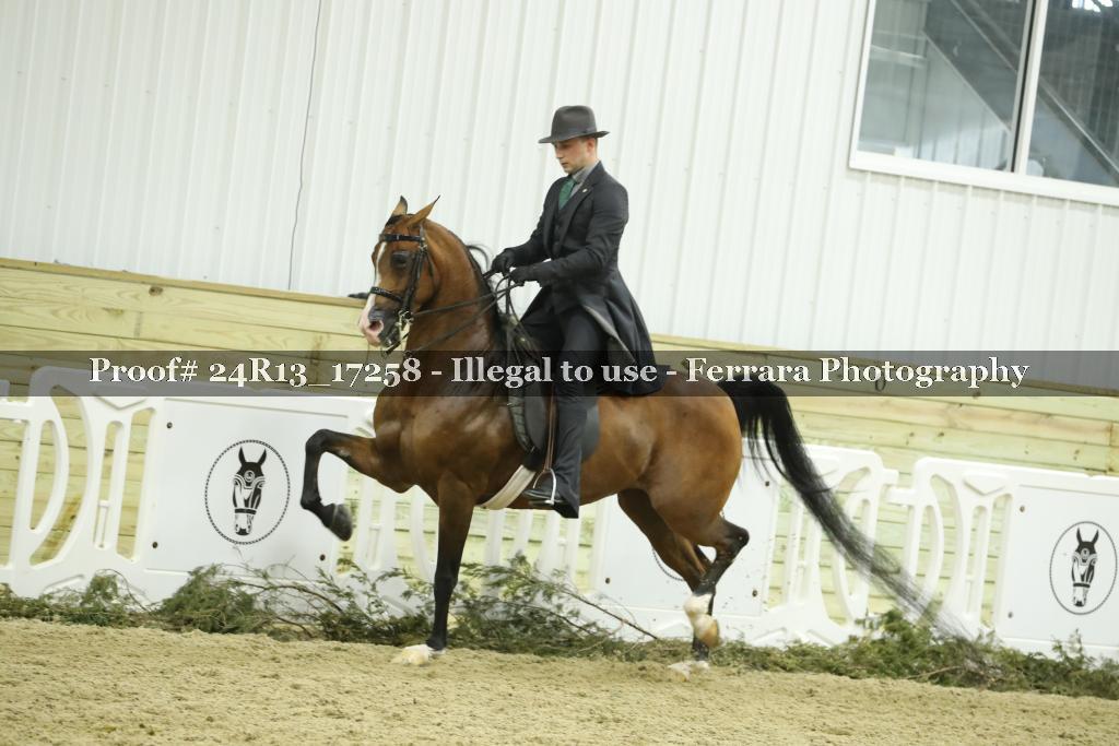 Proof 24R13_17258
