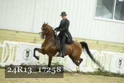 24R13_17258 proof