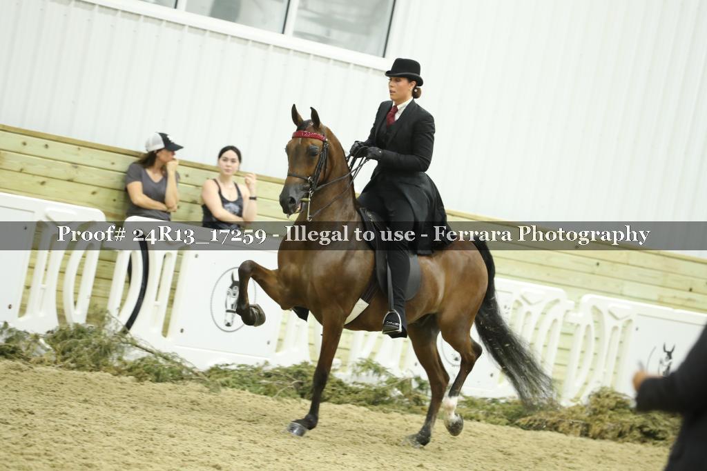 Proof 24R13_17259