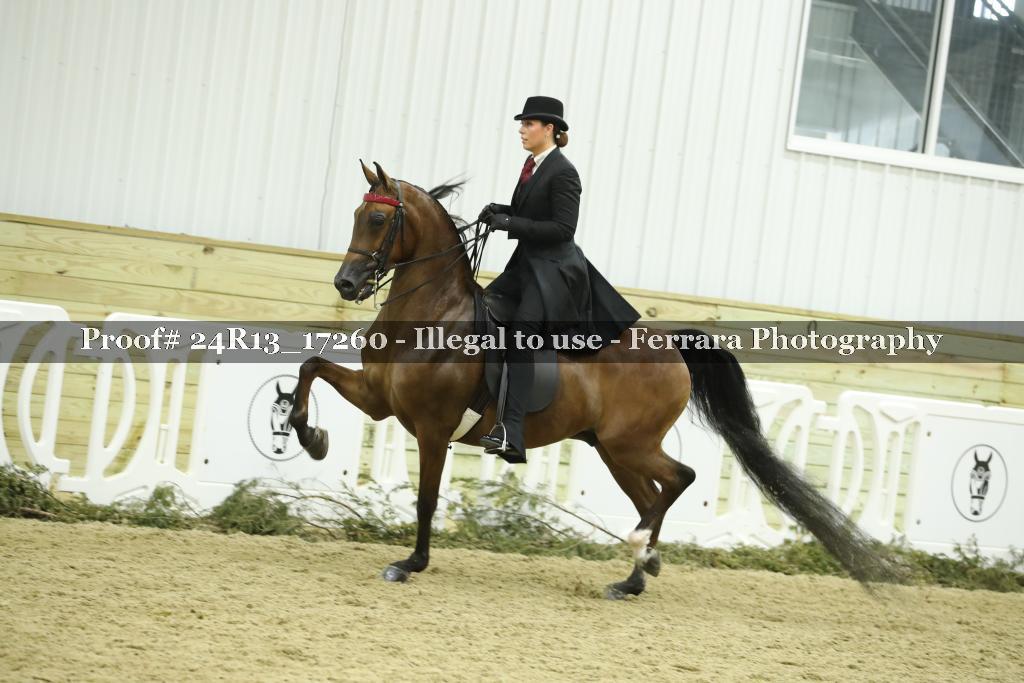 Proof 24R13_17260