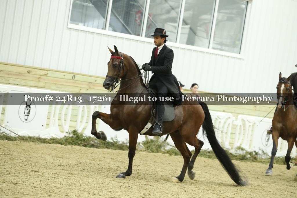 Proof 24R13_17261