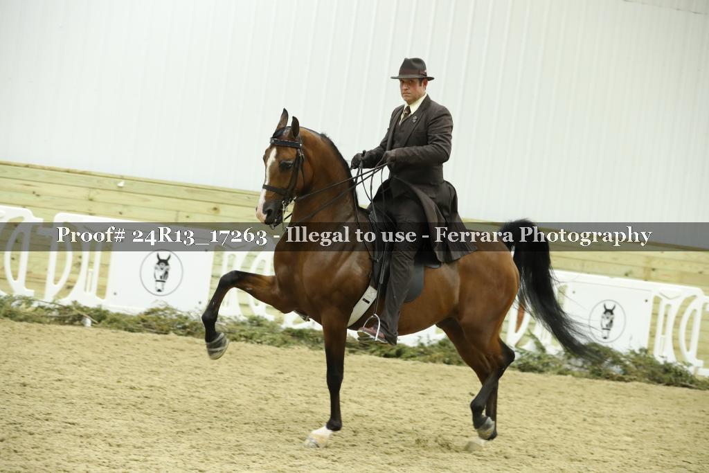 Proof 24R13_17263