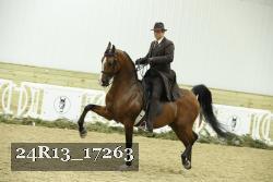 24R13_17263 proof