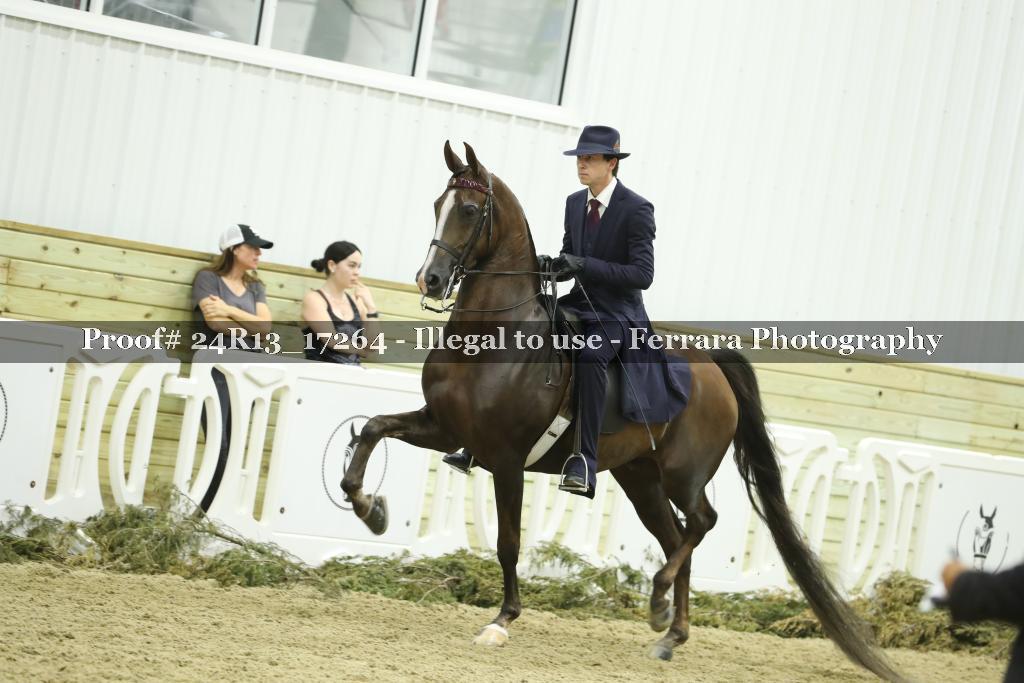Proof 24R13_17264