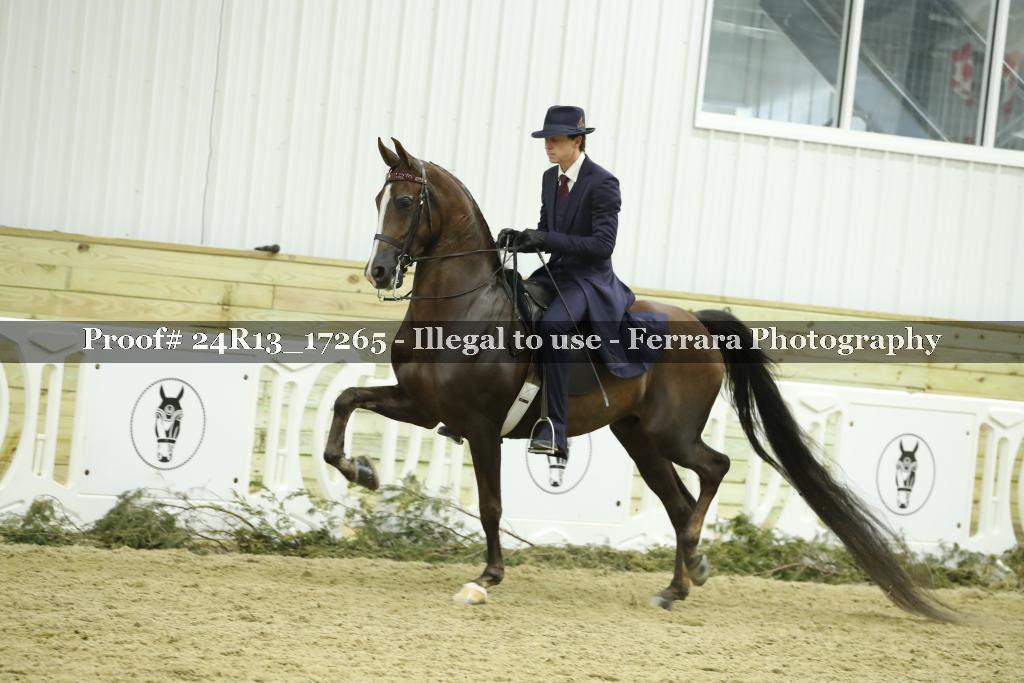 Proof 24R13_17265