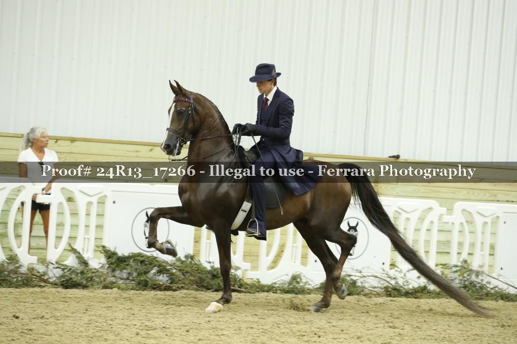 Proof 24R13_17266